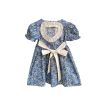 Baby Girl Floral Embroidered Pattern Lace Patchwork Design Backless Puff-Sleeved Dress - 90 (12-24M) - Blue