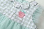 Baby Girl 1pcs Plaid Graphic Strawberry Embroidery Mesh Overlay Floral Neck Dress - 66 (3-6M) - Green